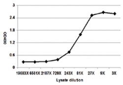 anti-CFLAR Matched Antibody Pair, Abnova 1 Set | Buy Online | Abnova Corporation | Fisher Scientific