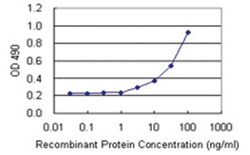 HDAC3, Human, Matched Antibody Pair (AP41), Abnova&trade;