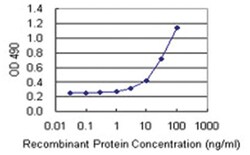 HDAC3, Human, Matched Antibody Pair (AP42), Abnova&trade;