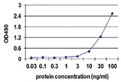 APLN, Human, Matched Antibody Pair (AP43), Abnova™