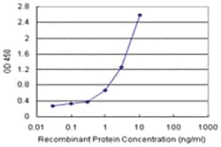 anti-CDC123 Matched Antibody Pair, Abnova