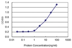 anti-GYG2, Human, Matched Antibody Pair, Abnova 1 Set:Antibodies, Monoclonal/Polyclonal