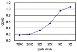 anti-STBD1 Matched Antibody Pair, Abnova&trade;