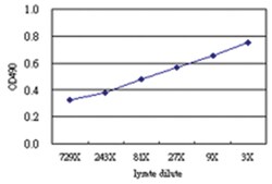 anti-PAPSS2 Matched Antibody Pair, Abnova&trade;