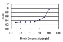 anti-AIFM1 Matched Antibody Pair, Abnova™