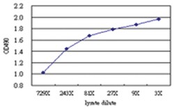 anti-ZBED1 Matched Antibody Pair, Abnova 1 Set, Unlabeled:Antibodies, Monoclonal/Polyclonal