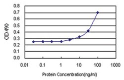 anti-RAB9A Matched Antibody Pair, Abnova&trade;