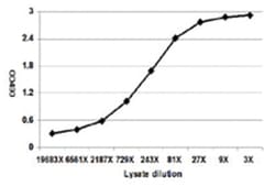 anti-LIPG Ab-2 Matched Antibody Pair, Abnova&trade;