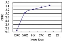 anti-ARHGEF6 Matched Antibody Pair, Abnova&trade;