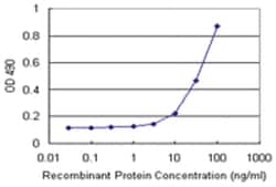 anti-MAGED1 Matched Antibody Pair, Abnova&trade;