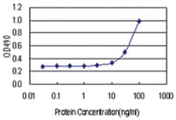 BAG5, Human, Matched Antibody Pair (AP11), Abnova™
