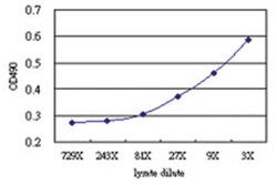 anti-SPATA2 Matched Antibody Pair, Abnova&trade;