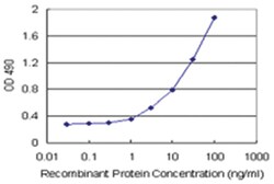 anti-TANK Matched Antibody Pair, Abnova 1 Set:Antibodies, Monoclonal/Polyclonal