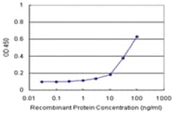 anti-DNAJB6 Matched Antibody Pair, Abnova