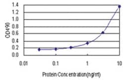 Abnova anti-YAP1 Matched Antibody Pair, Abnova™