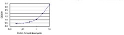 anti-GLRX3 Matched Antibody Pair, Abnova™