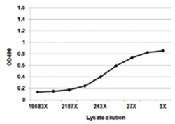 anti-NPC2 Ab-1 Matched Antibody Pair, Abnova&trade;