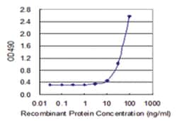 anti-TNFSF13B Matched Antibody Pair, Abnova&trade;