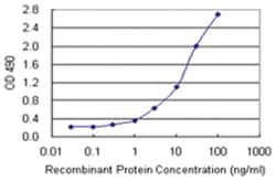 anti-PNMA2 Ab-2 Matched Antibody Pair, Abnova&trade;