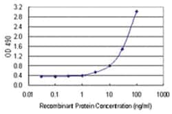 anti-PNMA2 Ab-3 Matched Antibody Pair, Abnova&trade;