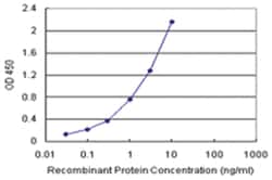 anti-RALBP1 Matched Antibody Pair, Abnova