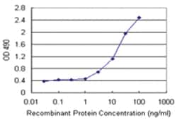 anti-STIP1 Ab-2 Matched Antibody Pair, Abnova&trade;