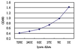 anti-KIF2C Matched Antibody Pair, Abnova™