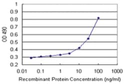 anti-GTF2A1L, Human, Matched Antibody Pair, Abnova 1 Set:Antibodies, Monoclonal/Polyclonal