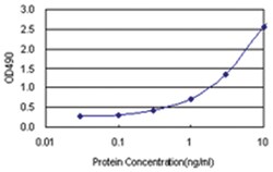anti-ZWINT Matched Antibody Pair, Abnova™