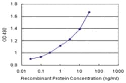 anti-PLA2G16 Matched Antibody Pair, Abnova