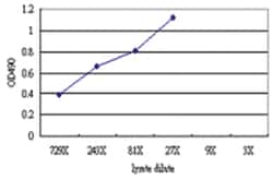 anti-POLG2 Matched Antibody Pair, Abnova&trade;