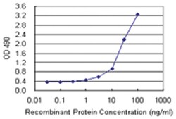 anti-CARD8, Human, Matched Antibody Pair, Abnova 1 Set:Antibodies, Monoclonal/Polyclonal