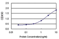 anti-ATF6 Matched Antibody Pair, Abnova™