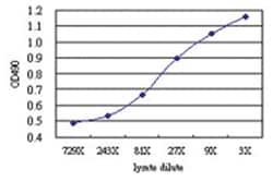 anti-USP33 Matched Antibody Pair, Abnova&trade;
