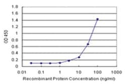 anti-COBRA1 Matched Antibody Pair, Abnova