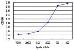 anti-GGA1 Matched Antibody Pair, Abnova&trade;