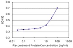 anti-MOCS3 Matched Antibody Pair, Abnova 1 Set:Antibodies, Monoclonal/Polyclonal