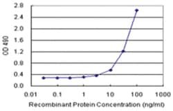 anti-PPP2R3B Ab-1 Matched Antibody Pair, Abnova&trade;