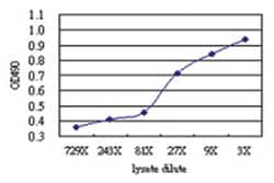 CLEC2D, Human, Matched Antibody Pair (AP51), Abnova&trade;