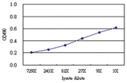 anti-SNX12 Matched Antibody Pair, Abnova&trade;