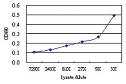 anti-NRBP1 Matched Antibody Pair, Abnova™