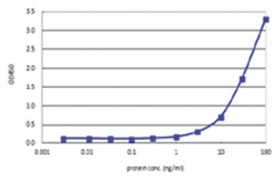 RAX, Human, Matched Antibody Pair (AP41), Abnova™