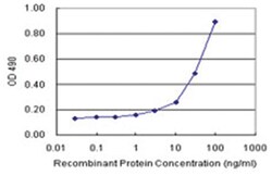 anti-F11R Matched Antibody Pair, Abnova
