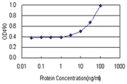 anti-FOXP3 Matched Antibody Pair, Abnova&trade;