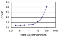 EGFL7, Human, Matched Antibody Pair (AP11), Abnova&trade;