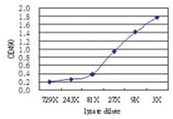 EGFL7, Human, Matched Antibody Pair (AP51), Abnova™