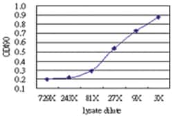 anti-EGFL7, Human, Matched Antibody Pair, Abnova&trade;