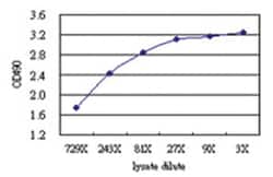 anti-DCXR Matched Antibody Pair, Abnova&trade;