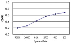 anti-POLK Matched Antibody Pair, Abnova&trade;