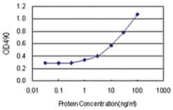 anti-DDIT4 Matched Antibody Pair, Abnova&trade;